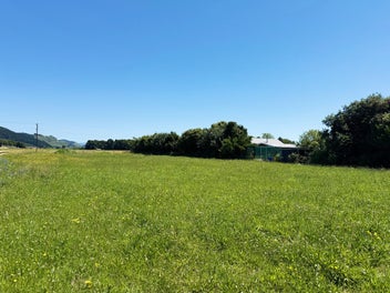 The perfect small lifestyle section