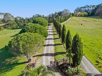 Matakana living at its best.