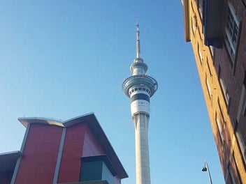 Image 1 of 25
