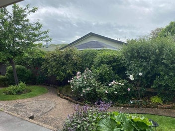 Image 1 of 11
