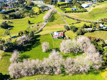 Town and Country Living!