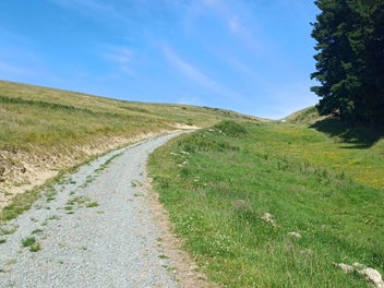 All The Way Up To The Skyline