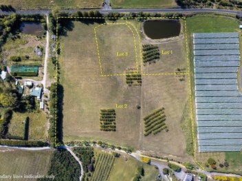 The Hard Part? Choosing Just One