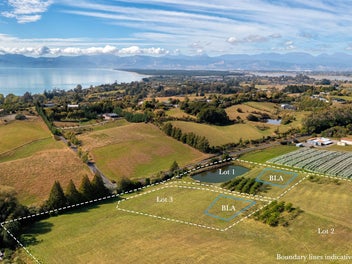 Tasman’s Sweet Spot - Three Opportunities