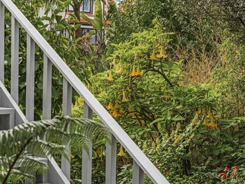 Leafy, Private & Elevated - Rare Remuera Sanctuary