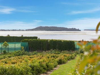 Sun-soaked coastal views, income flexibility
