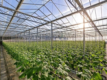 Exceptional glasshouse operation