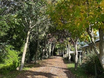 Image 1 of 10