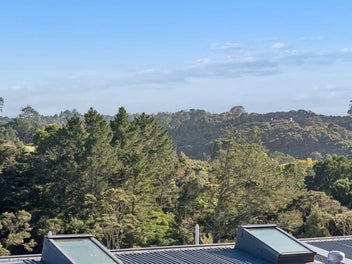 Sunshine and Bush Views