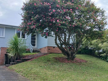 Image 1 of 10
