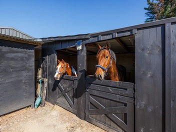 Equestrian's Dream Lifestyle Property!
