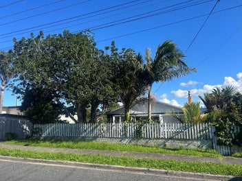 Image 1 of 13
