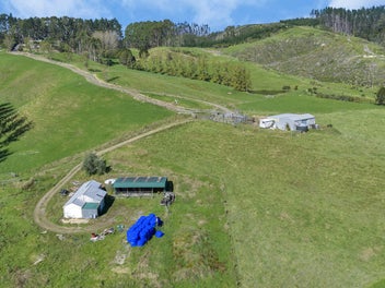 Image 1 of 24