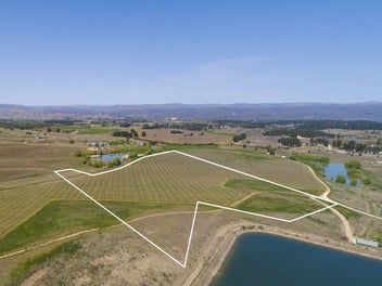 A Lifestyle Dream Among the Vines