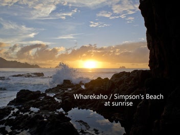 DISCOVER THE MAGIC OF SIMPSONS BEACH - IS IT TIME?