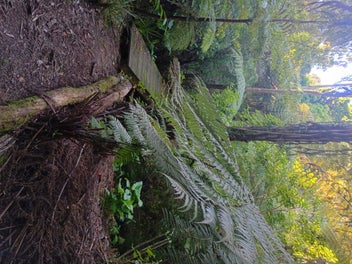 Image 1 of 11