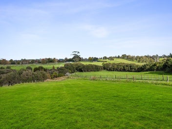 Flat hectare in heart of Dairy Flat