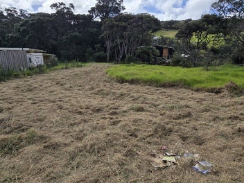 Image 1 of 8