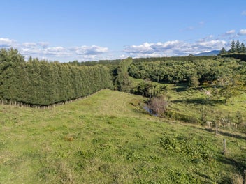 Build Your Dream – 2.6ha, Grazing, Income
