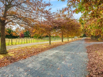 Lifestyle and Hospitality Opportunity