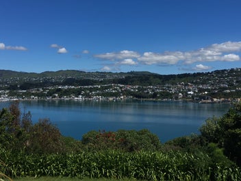 Image 1 of 18