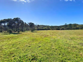 Image 1 of 22