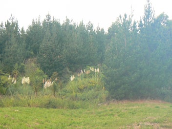 Image 1 of 21