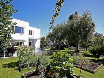 Mid-Century Haven