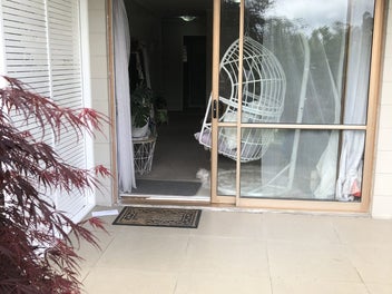Image 1 of 12
