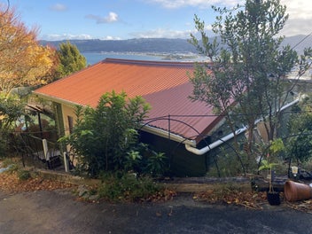 Image 1 of 20