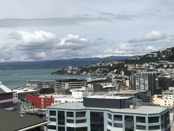 Image 1 of 13