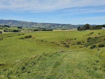 Image 1 of 8