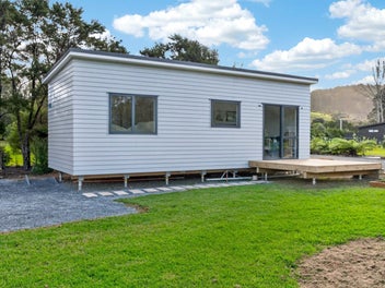 Life beneath the Puriri