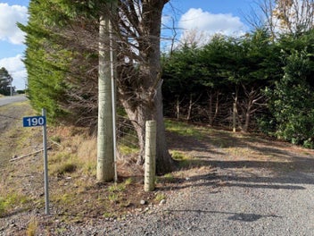 Image 1 of 11