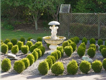 Estate Sale - Lifestyle Opportunity
