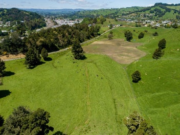 Build, graze or landbank