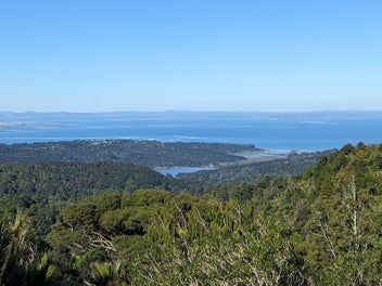 Sea and Bush Views from the Top of the Waitakeres