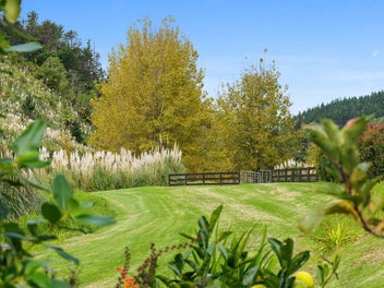 Matakana Lifestyle Haven- Build Site + Tiny Home