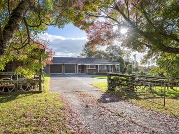 PREMIUM LOCALE - REFURBISHED KIWI CLASSIC