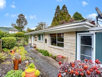 Charming Hinuera Stone Gem Sought After Hillcrest