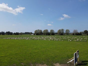 Welcome to Chamberlain Road, Te Awamutu