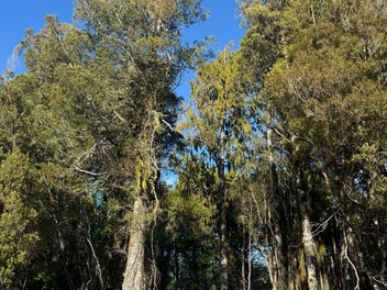 Image 1 of 14