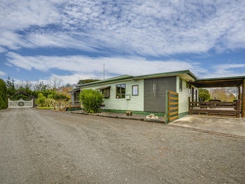 Equestrian Lifestyle With Exceptional Shedding