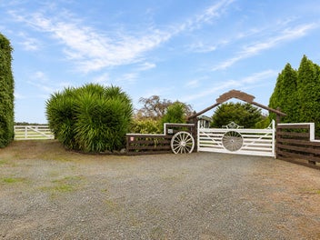 Equestrian Lifestyle With Exceptional Shedding