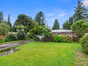 Image 1 of 15