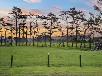 Scale and Utility in a Prime Waimauku Position