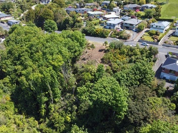 Helensburgh bush setting