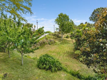Image 1 of 11