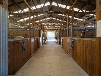 Equine Excellence with Landbank Opportunity