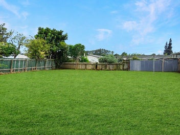 Build, landbank or park - the choice is yours